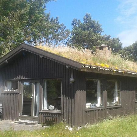 Konkylien Villa Pandrup Eksteriør bilde